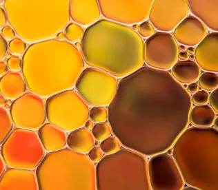 Oregano Oil